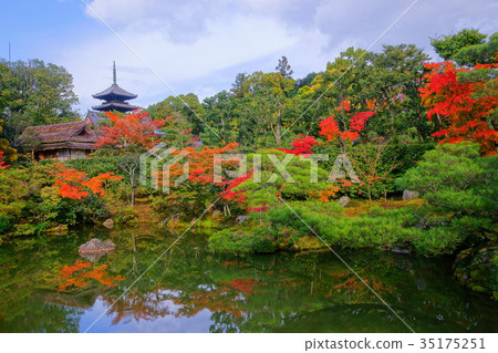 Ninnaji  North garden in early autumn 35175251