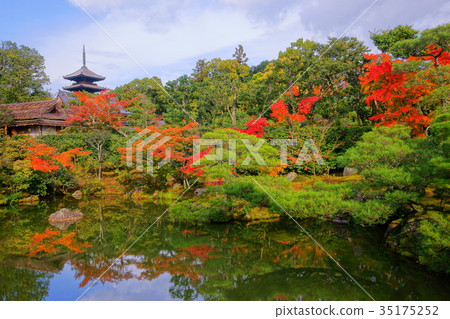 Ninnaji  North garden in early autumn 35175252