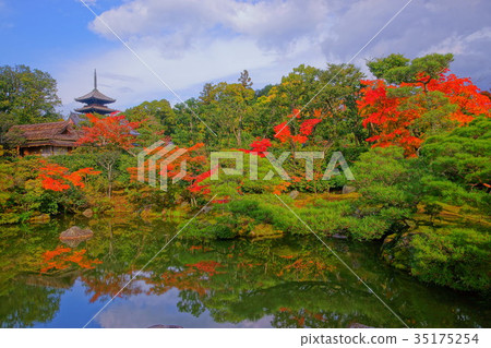 Ninnaji  North garden in early autumn 35175254