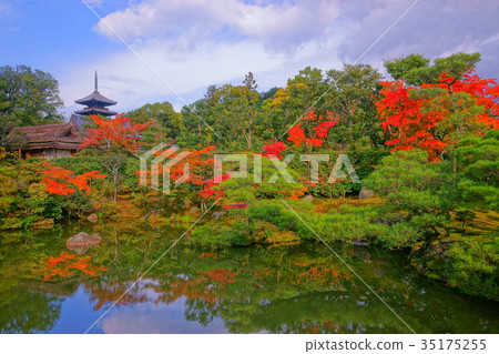 Ninnaji  North garden in early autumn 35175255