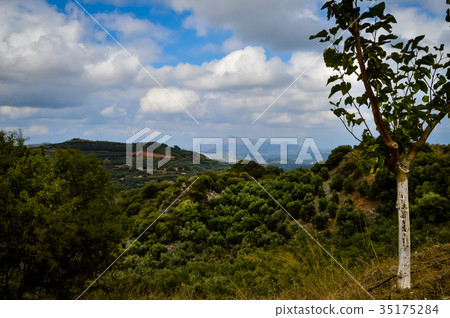 View of the green countryside 35175284