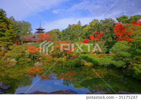Ninnaji Temple North garden lake in early autumn 35175287