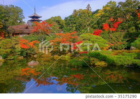 Ninnaji Temple North garden lake in early autumn 35175290