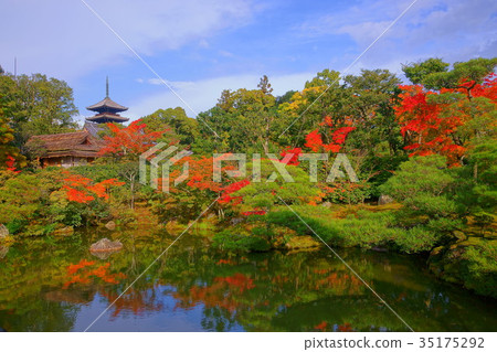 Ninnaji Temple North garden lake in early autumn 35175292