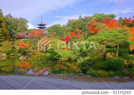 Ninnaji Temple North garden lake in early autumn 35175293