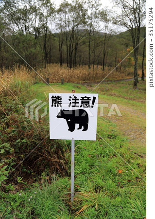 Be careful with bears 35175294