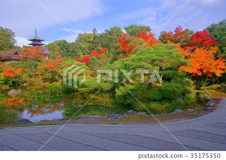 Ninnaji Temple North garden lake in early autumn Ninnaji Temple North garden lake in early autumn 35175350