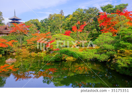 Ninnaji Temple North garden lake in early autumn Ninnaji Temple North garden lake in early autumn 35175351