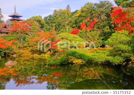 Ninnaji Temple North garden lake in early autumn 35175352