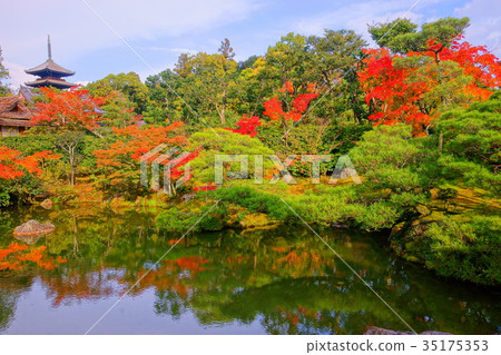 Ninnaji Temple North garden lake in early autumn 35175353