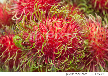 Rambutan fruit Rambutan fruit 35175398