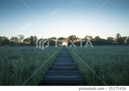 Biebrza National Park in Poland 35175416