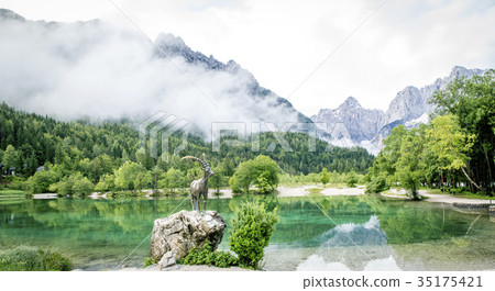 Zelenci pond in Kranjska Gora, Slovenia 35175421