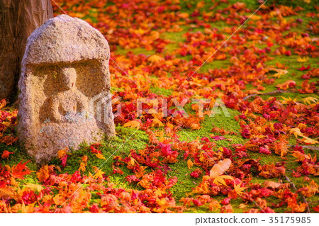 Adashino Nenbutsuji temple in early autumn 35175985