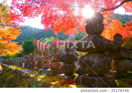 Adashino Nenbutsuji temple in autumn 35176148