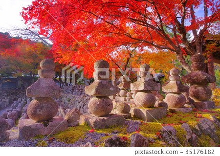Adashino Nenbutsuji temple in autumn 35176182