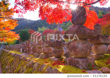 Adashino Nenbutsuji temple in autumn Adashino Nenbutsuji temple in autumn 35176185