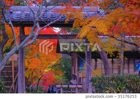 Adashino Nenbutsuji temple in early autumn 35176253