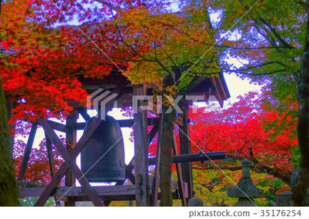 Adashino Nenbutsuji temple in early autumn 35176254