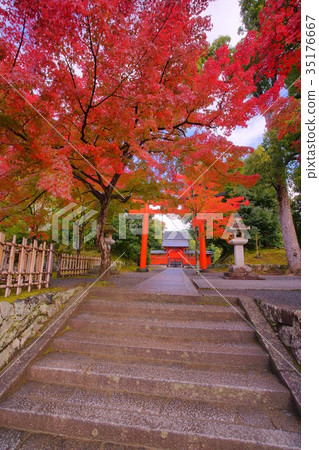 Tenryuji Temple Hachimansha in early autumn 35176667