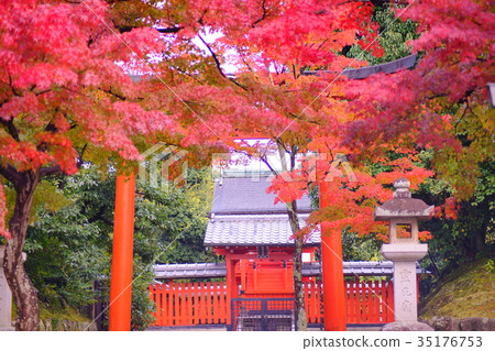 Tenryuji Temple Hachimansha in early autumn 35176753