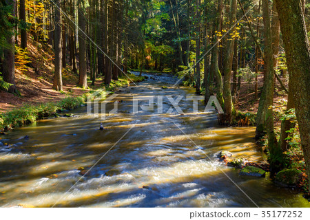 Autumn, fall wild river Doubrava, picturesque 35177252