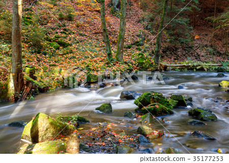 Autumn, fall wild river Doubrava, picturesque 35177253