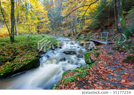 Autumn, fall wild river Doubrava, picturesque 35177259