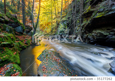Autumn, fall wild river Doubrava, picturesque 35177262