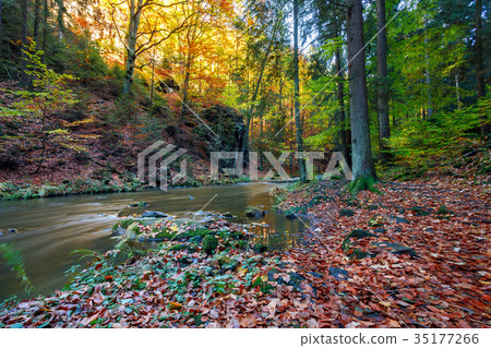 Autumn, fall wild river Doubrava, picturesque 35177266