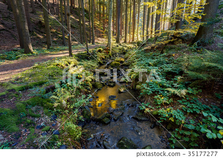Autumn, fall wild river Doubrava, picturesque 35177277