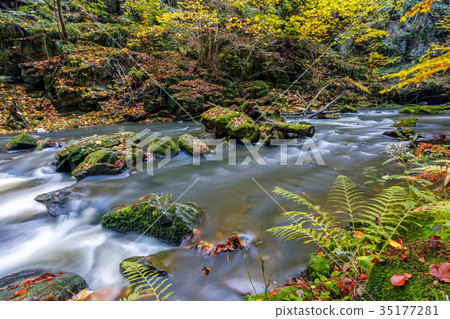 Autumn, fall wild river Doubrava, picturesque 35177281