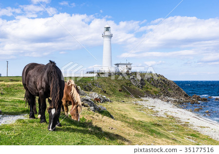 Kandachime in Shiriyazaki 35177516