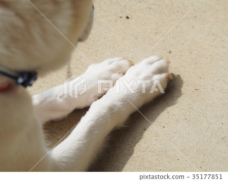 Align both feet, good manners. 35177851