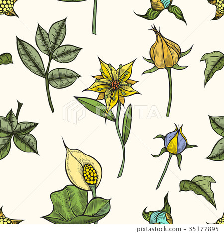 Vector vintage seamless floral pattern. 35177895