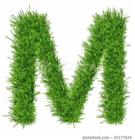 Letter of grass alphabet. 3d illustration 35177934