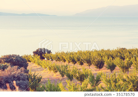 Turkey landscapes 35178570