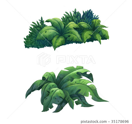 illustration of Bush 35178696