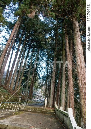 An approach following Kita Wakamiya Shrine An approach following Kita Wakamiya Shrine 35179638
