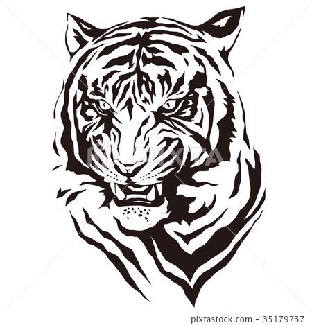 Illustration of a mammal, a tiger Illustration of a mammal, a tiger 35179737