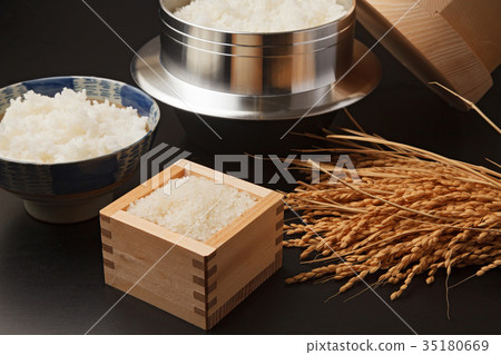 Image of novice 35180669