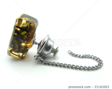 琥珀蜘蛛標本徽章 35183001