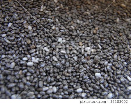 奇亞籽 奇亞籽 35183002