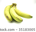 Green banana 35183005