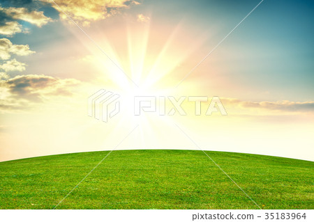 Green grass field Green grass field 35183964
