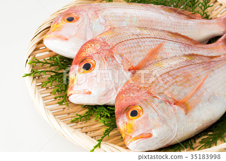 Sea bream 35183998