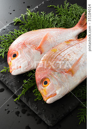 Sea bream 35184014