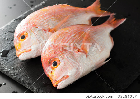 Sea bream 35184017