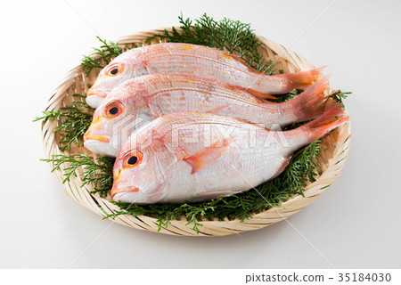 Sea bream 35184030
