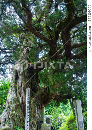 Jakshin of the castle castle 35184092